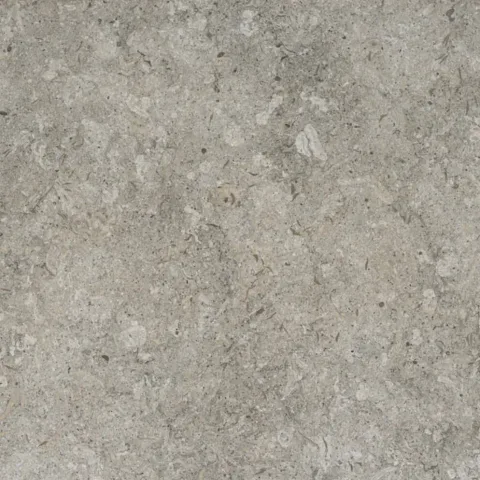 Grigio KC · Mate