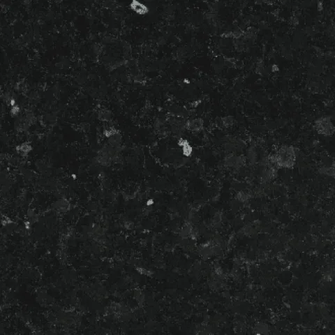 Labrador Oscuro · Pulit